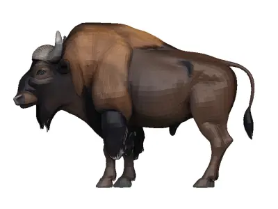 Bison Low-poly 3D model