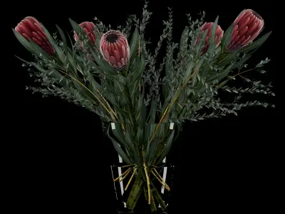 Protea with Eucalyptus parvifolia 3D model