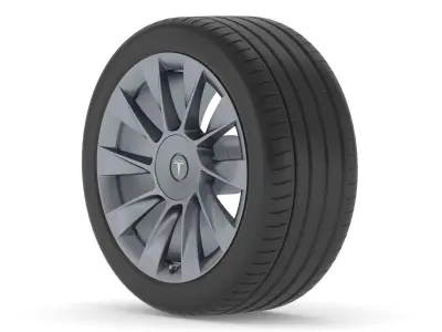 Tesla Car Tire 3D model