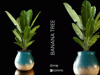 banana tree 3D model