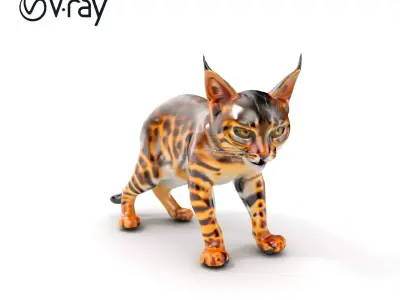 Realistic Spotted Bengal Cat Model Pack Low-poly 3D model