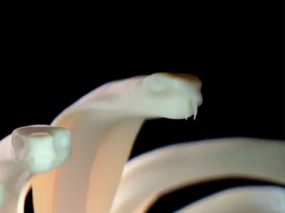 Hydra Snake Multi-Headed Serpent Statue 3D print model