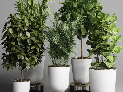 collection Indoor plant 35 -concrete vase Low-poly 3D model