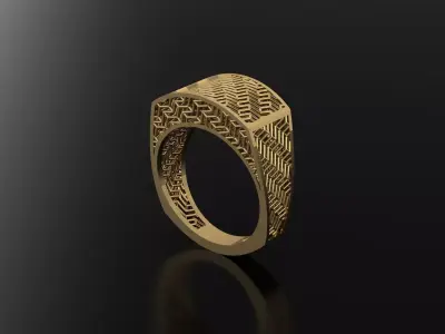 ring fusion 3D model