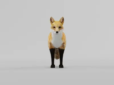 Red Fox Animals Low-poly 3D model