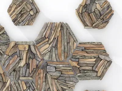 Hexagon panel branch splinter n1 3D model