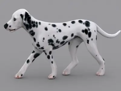 dog dalmatain spotty dog 3D model