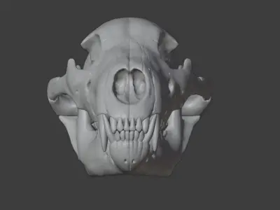 Bear skull  3D model