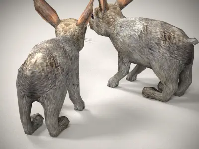 Adorable Rabbit Model 3D model