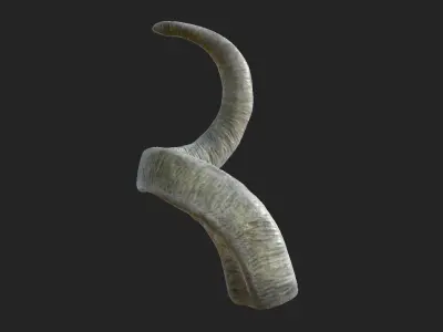 Horns of a screw-horned goat Low-poly 3D model
