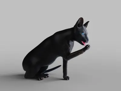 Cat Black Rigged and Animated Low-poly 3D model