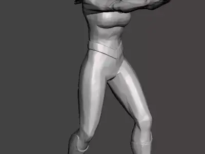 invisible woman 3d model for 3d printing 3D print model