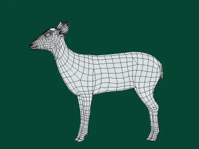 Virginia Deer  Low-poly 3D model