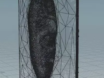 Abstract Face 3D print model