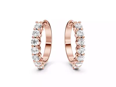 Earring Jewelry Lia Collection Earrings Models  3D Model Pack