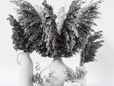 Collection dried plants 3D model