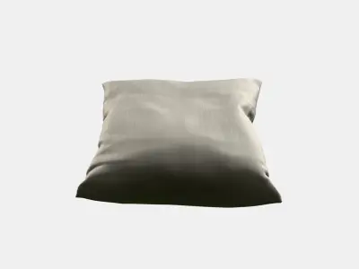 AINA Cushion cover 2 3D model