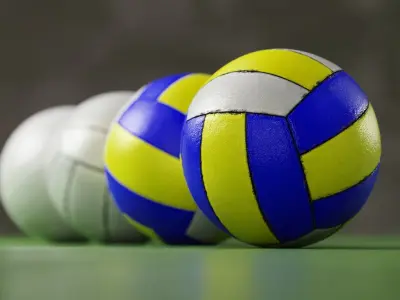 Volleyball set with 4 types material 3D model