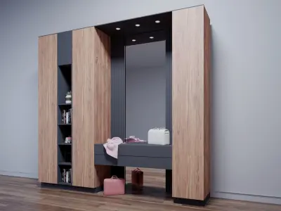 Entrance Cabinet Design  3D model