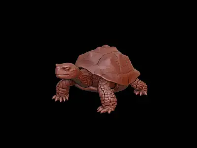 Turtle Animal Sculpture 3D print model