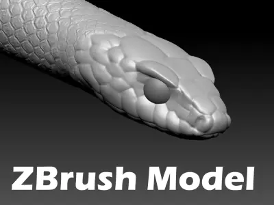 Black Snake Zbrush Model 3D model