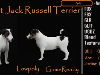 Sweet Jack Russell Terrier Dog Low-poly 3D model