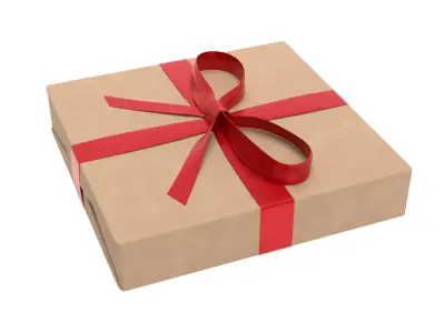 Wrapped Gift Box PBR 12 3D model