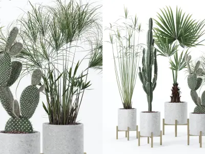 Plants collection 123 3D model