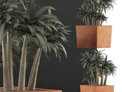 Plants Collection 84 3D model