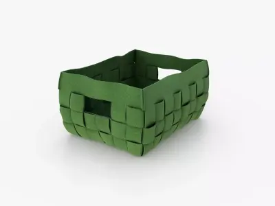 Polyester Basket Green 3D model