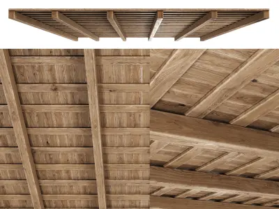 Wooden Ceiling V5  3D model