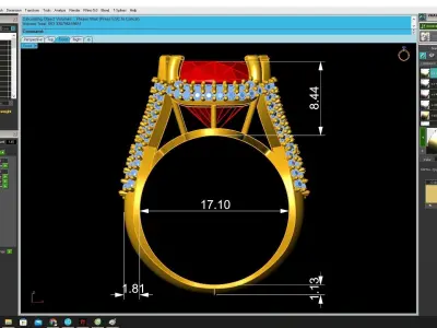Luxury Double Halo Gemstone Women Ring  3434 3D print model