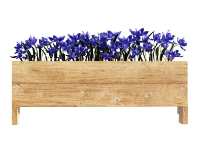 Flower plant set 04 3D model