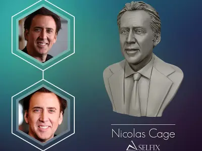 Nicolas Cage 3D printable portrait model 3D print model