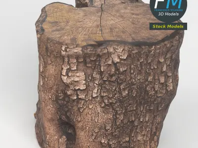 Wood log 1 3D model
