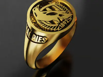 Magpies Collingwood Australia Football Fans 3D print model  3D print model