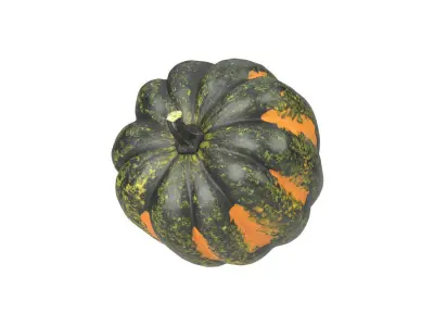 Photorealistic Acorn Squash 3D Scan 1 3D model