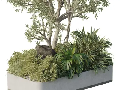Stand plant in box garden - outdoor plant 178  Low-poly 3D model