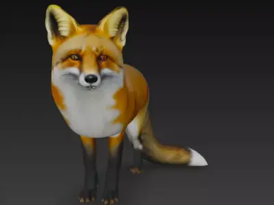 3D Fox Model 3D model