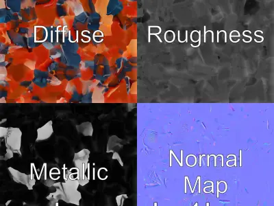 Detailed Parasite Tick Educational Model Low-poly 3D model