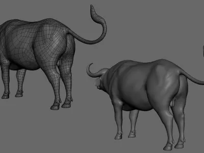 African Buffalo Low-poly 3D model