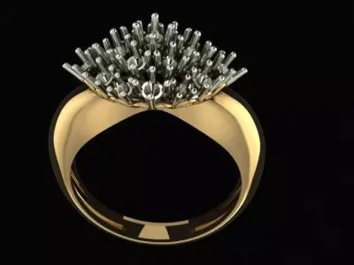 Ring and Earrings set 3D print model 3D print model