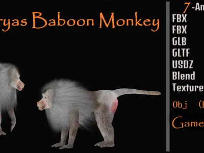 Hamadryas Baboon Monkey Low-poly 3D model