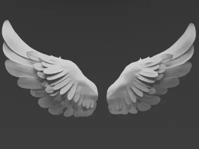 Wings two 3D model