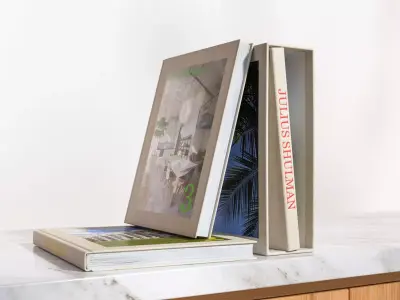 Standing and lying books 3D model