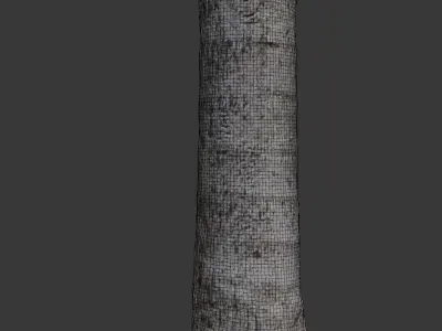Realistic 3D Scanned Palm Tree Trunks Low-poly 3D model