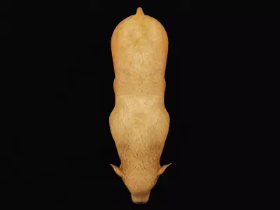 European Bison Calf Low-poly 3D model