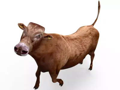 3D Red Cow Rigged Model  Low-poly 3D model