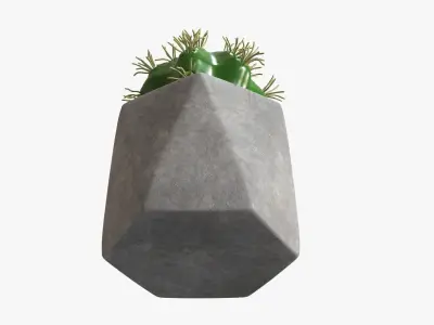 Potted plant decorative 09 3D model