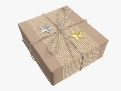 Wrapped Christmas gift 08 3D model